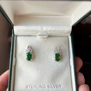 Sterling silver Earrings